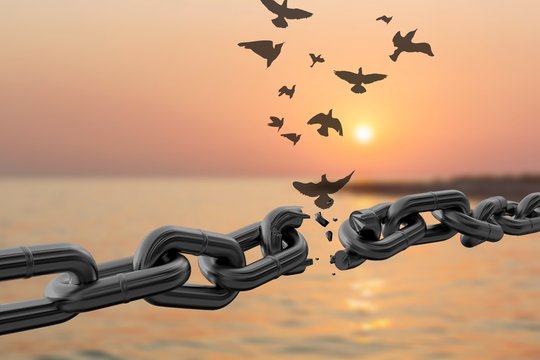 Freedome from Slavery